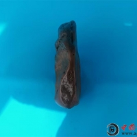 2025Ї^pʯWj[uxʯ۰¡
