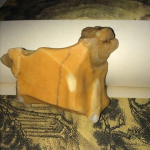 һȥΓСӵȻʯƯ᣿